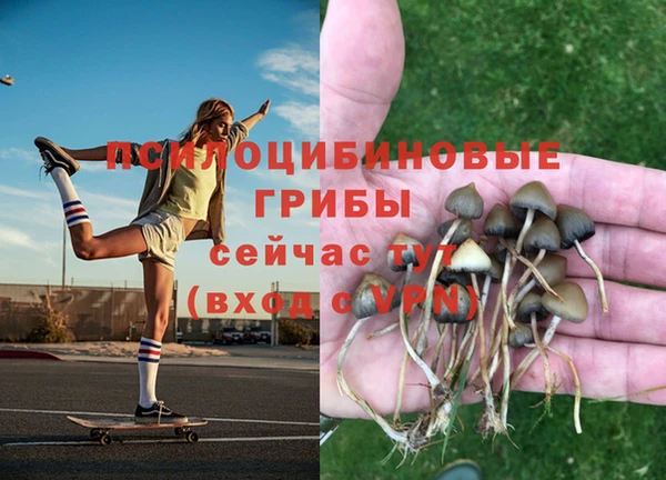 СК Белоозёрский