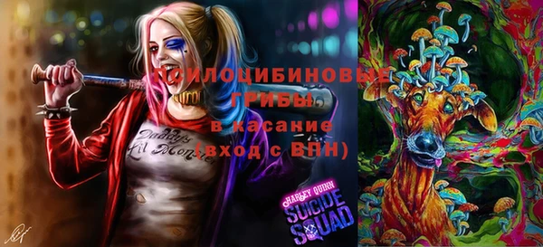 прущий лед Белокуриха