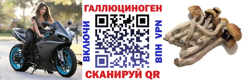 магазин  наркотиков  Бор  гидра сайт  Галлюциногенные грибы MAGIC MUSHROOMS 